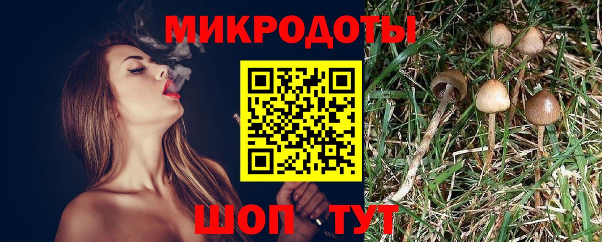 Армавир  Галлюциногенные грибы мухоморы  Вход с VPN 